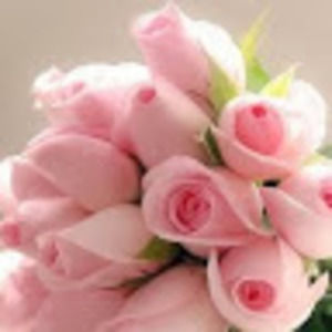 Meet your Posher, Jennifer l